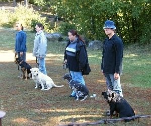 V P�erov� na cvi��ku