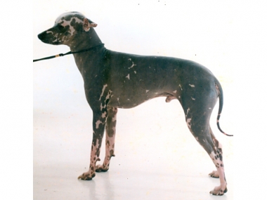 ARISON Ope�en� had