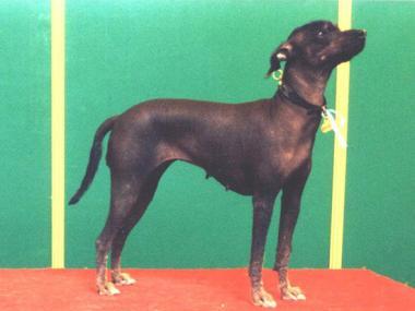 A�A M�s��n� kv�tina